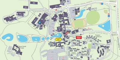 Kart kampus дикин
